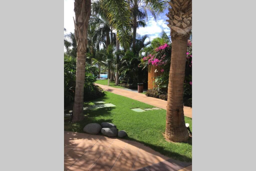 Appartamento Apartamento frente al mar! Playa de las Americas  Esterno foto